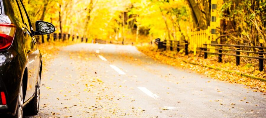 Automne