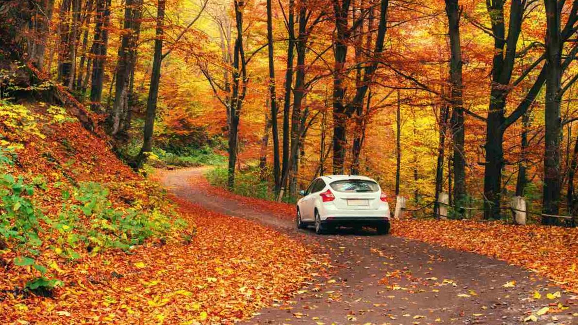 How to prepare your car for autumn?